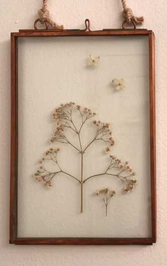 A glass case frame holding flowers